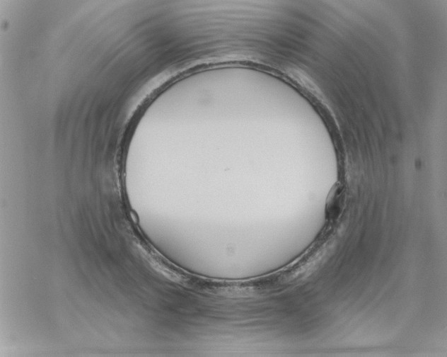 X0000069400789200606091740