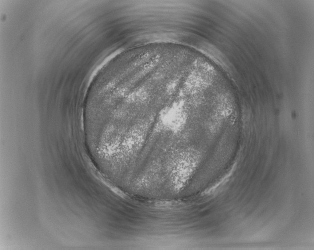 X0000069400790200606091740