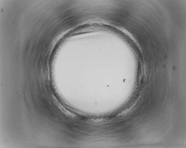 X0000069400791200606091740