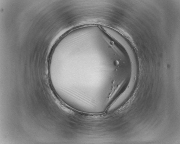 X0000069400792200606091740