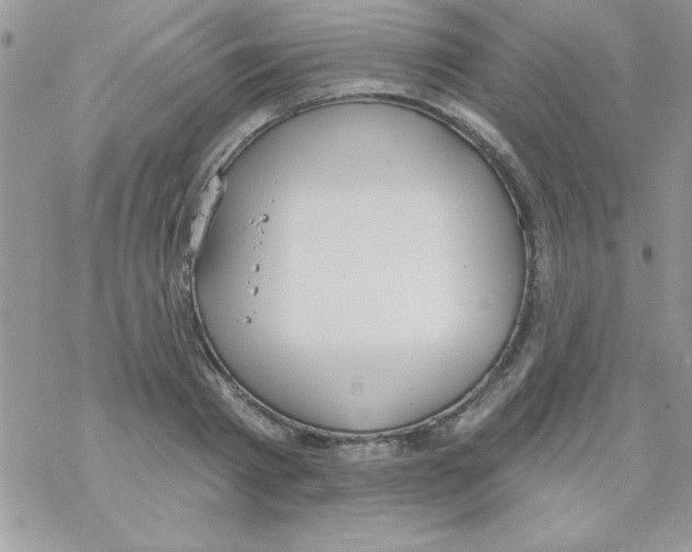 X0000069400793200606091740