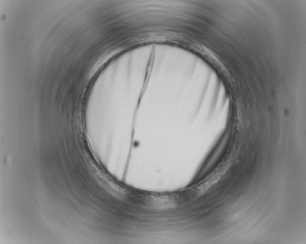 X0000069400794200606091740