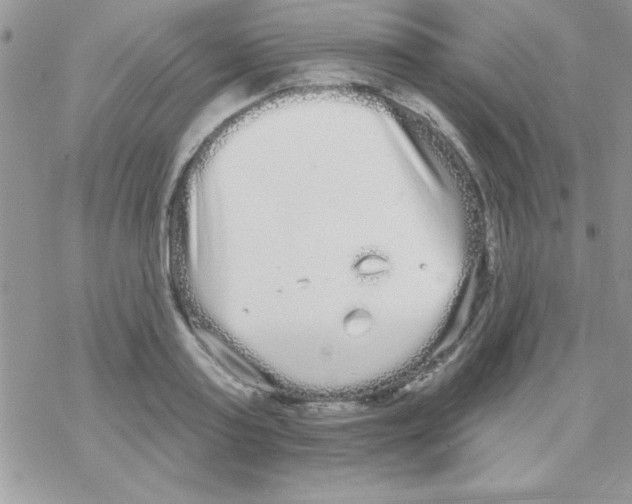 X0000069400795200606091740