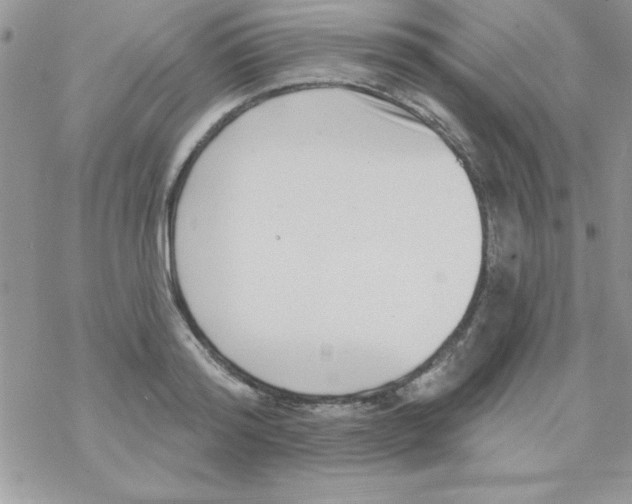 X0000069400796200606091740