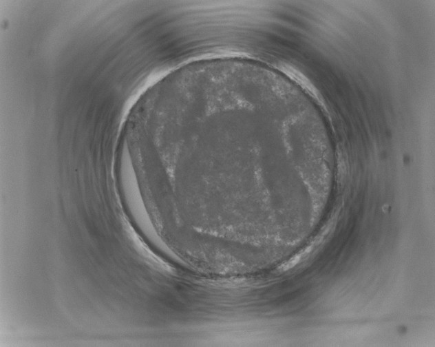 X0000069400797200606091740