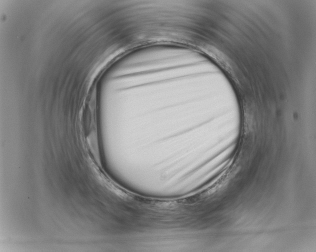 X0000069400798200606091740