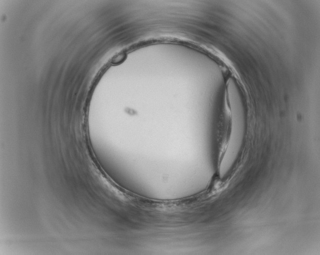 X0000069400799200606091740