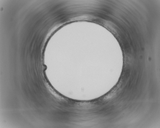 X0000069400800200606091740