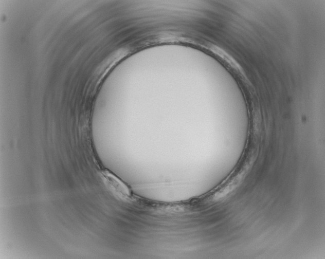 X0000069400801200606091740