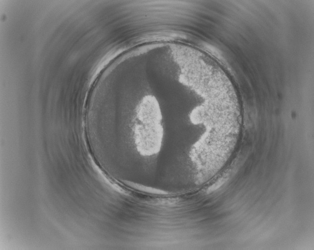 X0000069400802200606091740