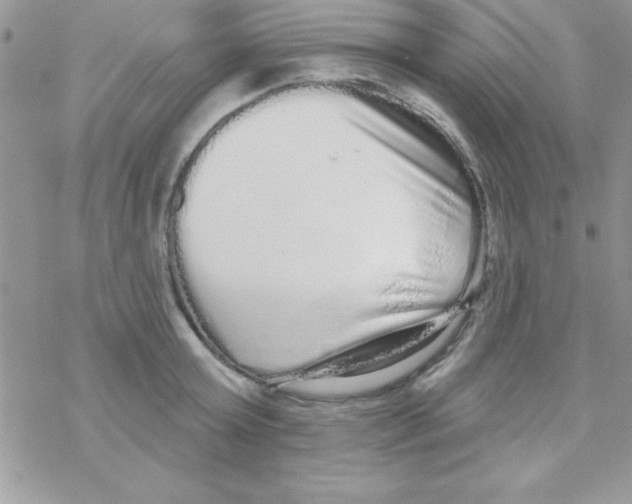 X0000069400803200606091740