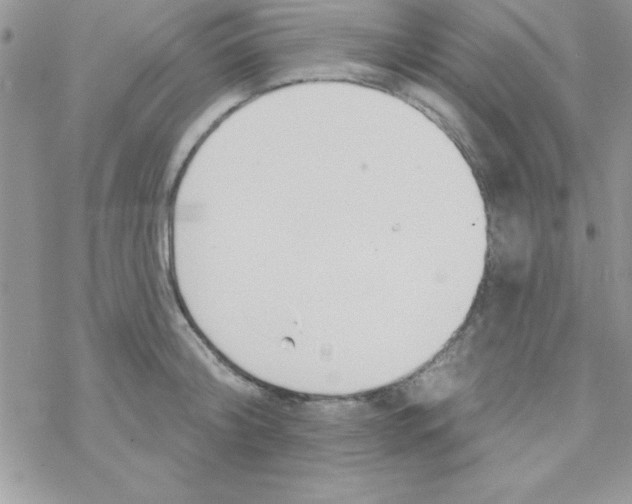 X0000069400804200606091740