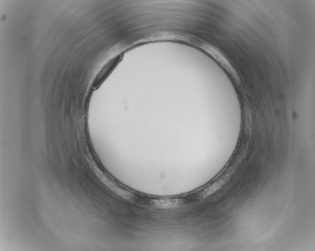 X0000069400805200606091740