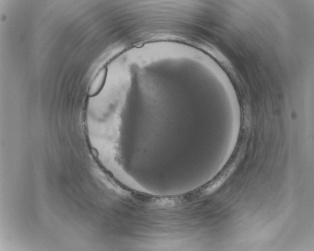 X0000069400806200606091740