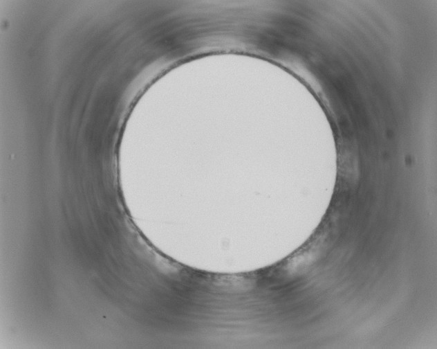 X0000069400807200606091740