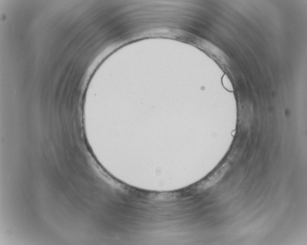 X0000069400808200606091740