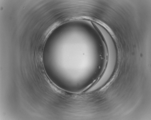 X0000069400809200606091740