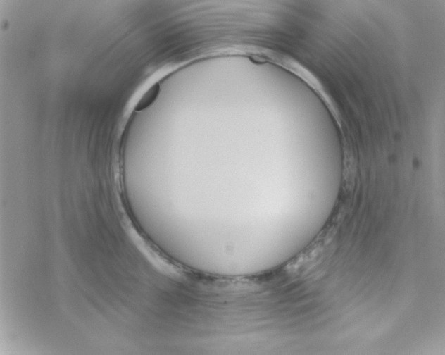 X0000069400811200606091740