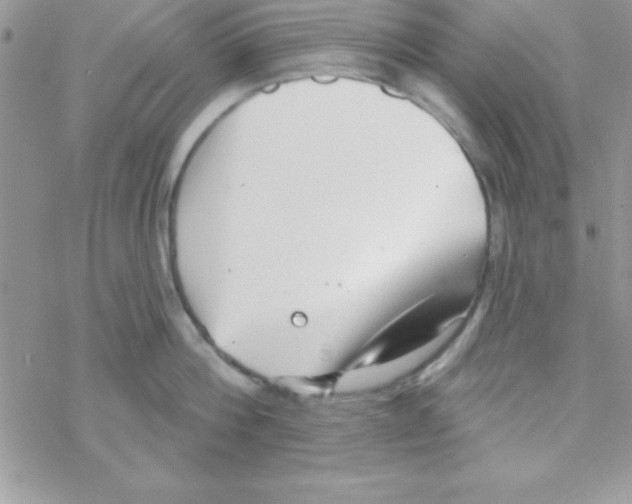 X0000069400812200606091740