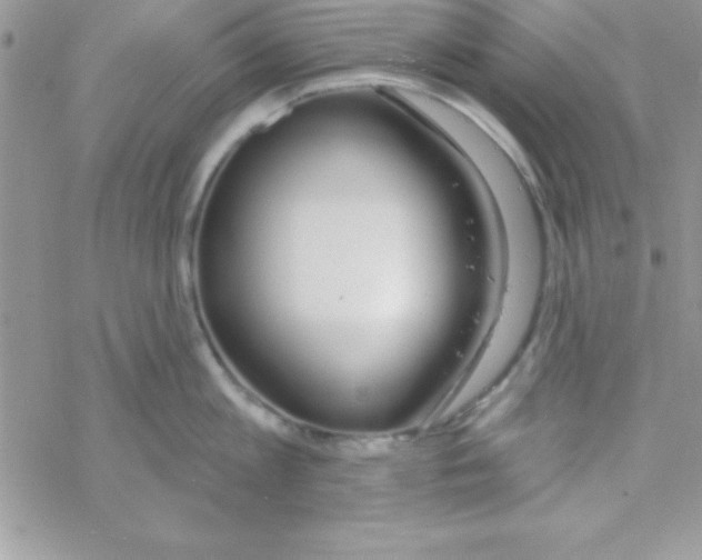 X0000069400813200606091740