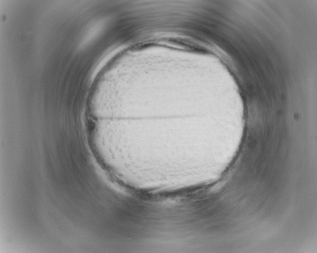 X0000069400814200606091740