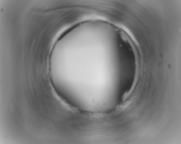 X0000069400815200606091740