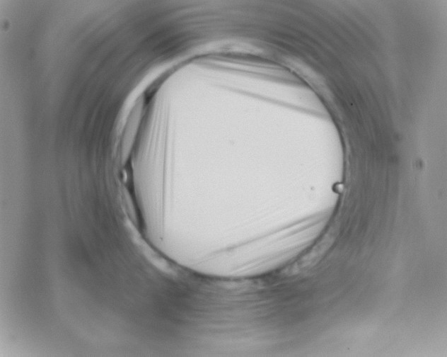 X0000069400816200606091740