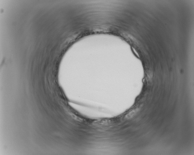 X0000069400817200606091739