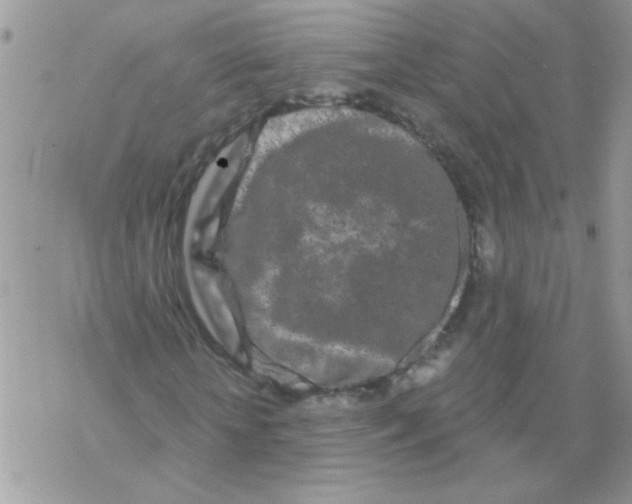 X0000069400818200606091739