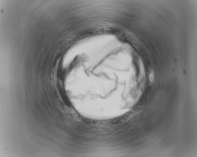 X0000069400819200606091739