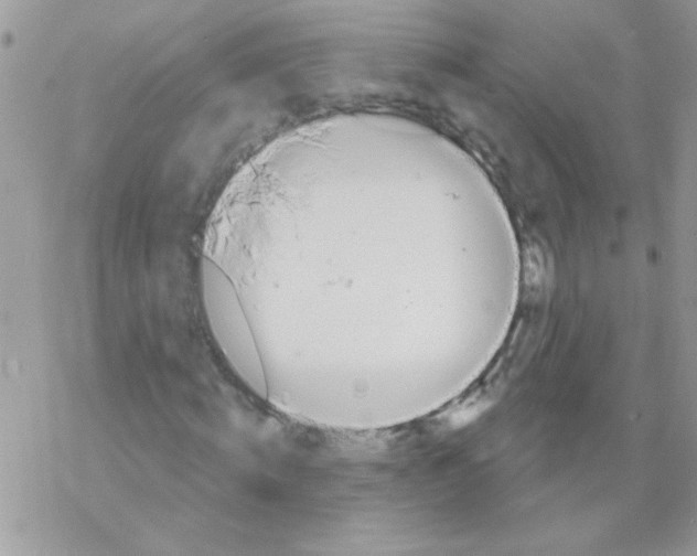 X0000069400820200606091739