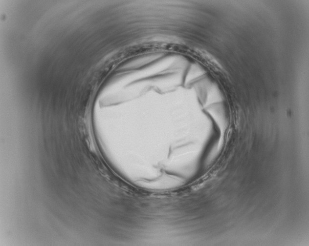 X0000069400821200606091739