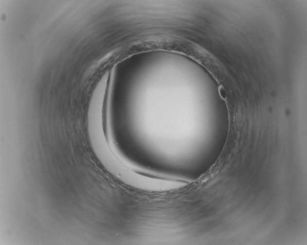 X0000069400822200606091739