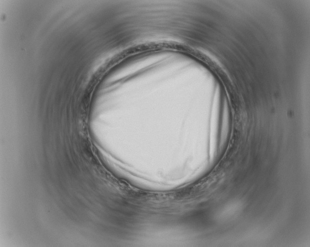 X0000069400823200606091739