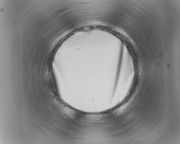 X0000069400825200606091739