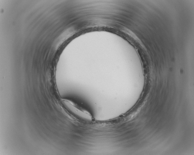 X0000069400826200606091739