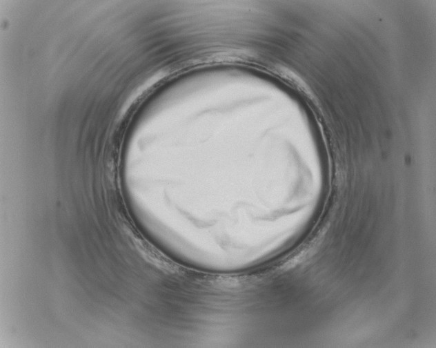 X0000069400827200606091739