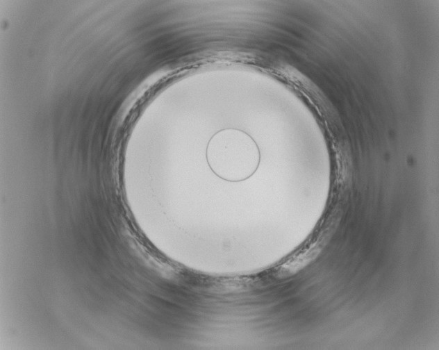 X0000069400828200606091739