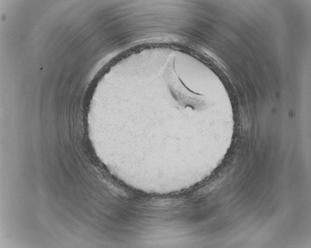 X0000069400829200606091739