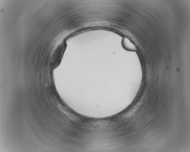 X0000069400830200606091739