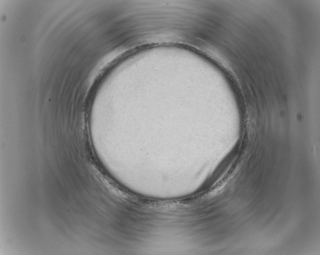 X0000069400831200606091739