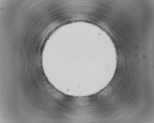 X0000069400832200606091739