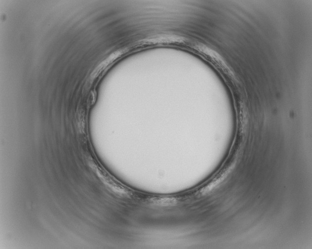 X0000069400833200606091739