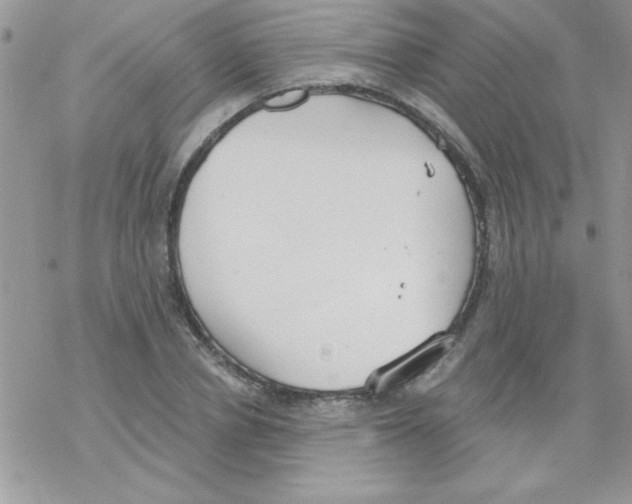 X0000069400834200606091739