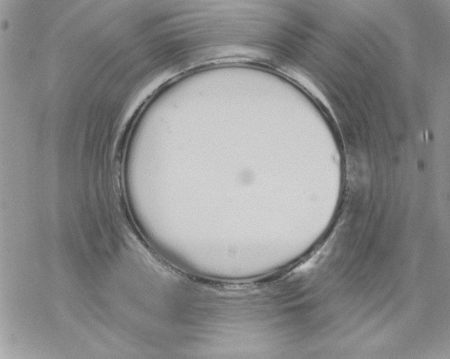 X0000069400835200606091739