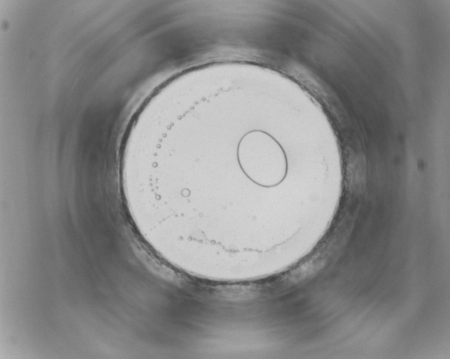 X0000069400836200606091739