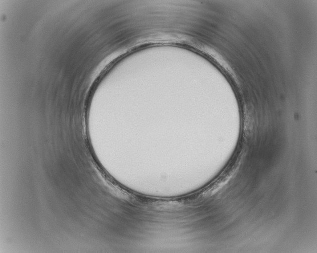 X0000069400837200606091739