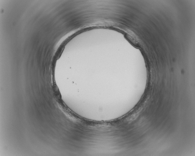 X0000069400838200606091739