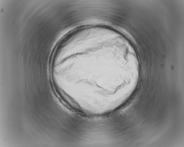 X0000069400839200606091739