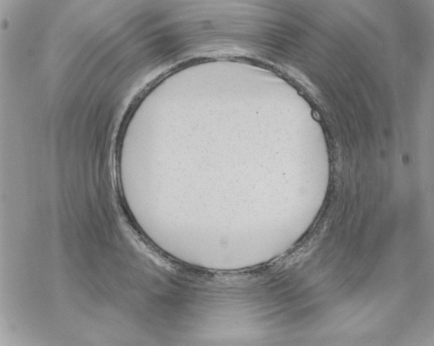 X0000069400840200606091739